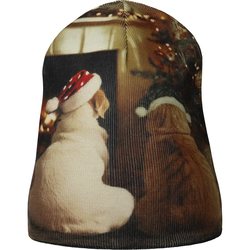 cap-mnogocveten-kangol