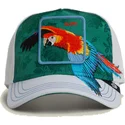sapkak-ivelt-zold-snapback-loro-guapo-honduras-macaw-the-farm-the-farm-de-goorin-bros