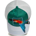 sapkak-ivelt-zold-snapback-loro-guapo-honduras-macaw-the-farm-the-farm-de-goorin-bros