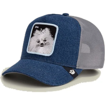 Sapkák ívelt kék snapback Diva Dawg That Dawg In Me The Farm Goorin Bros.