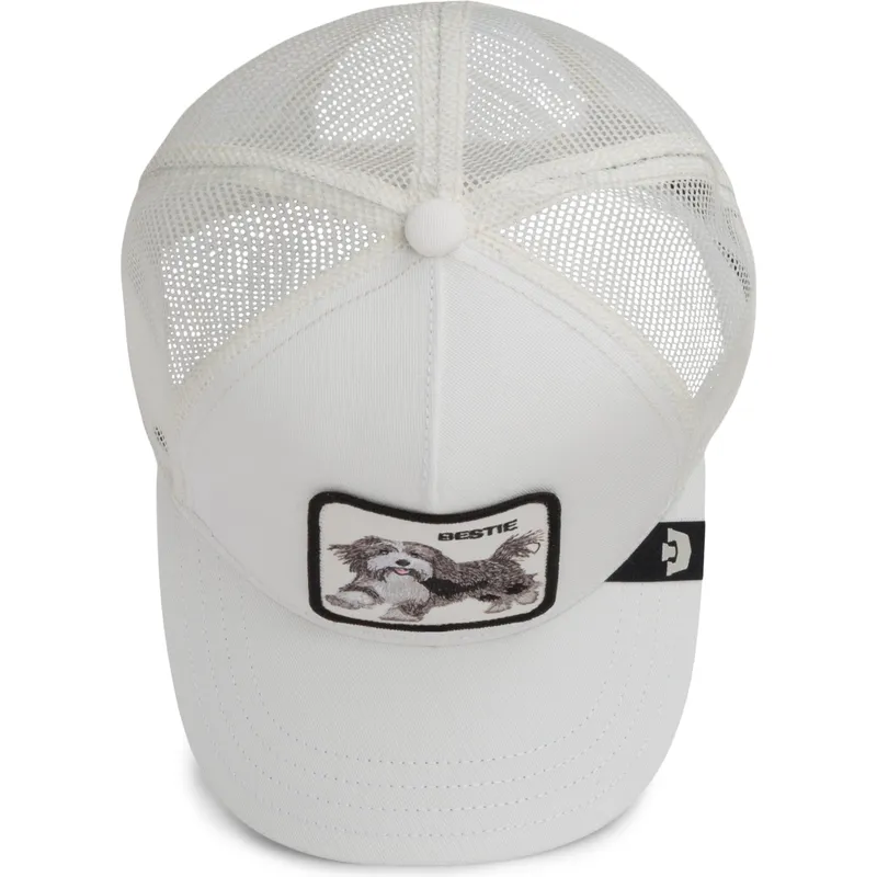 cap-ivelt-byal-snapbek-the-farm-de-goorin-bros