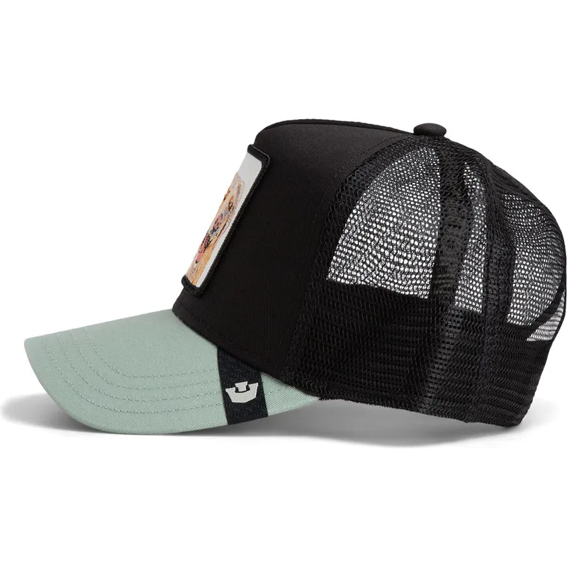 cap-ivelt-cheren-snapbek-the-farm-de-goorin-bros