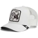 cap-ivelt-byal-snapbek-gyereknek-the-farm-de-goorin-bros