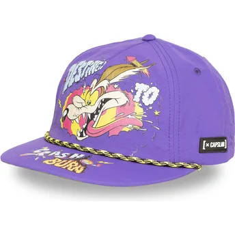 Cap lapos виолетка снапбек Койот Looney Tunes Capslab