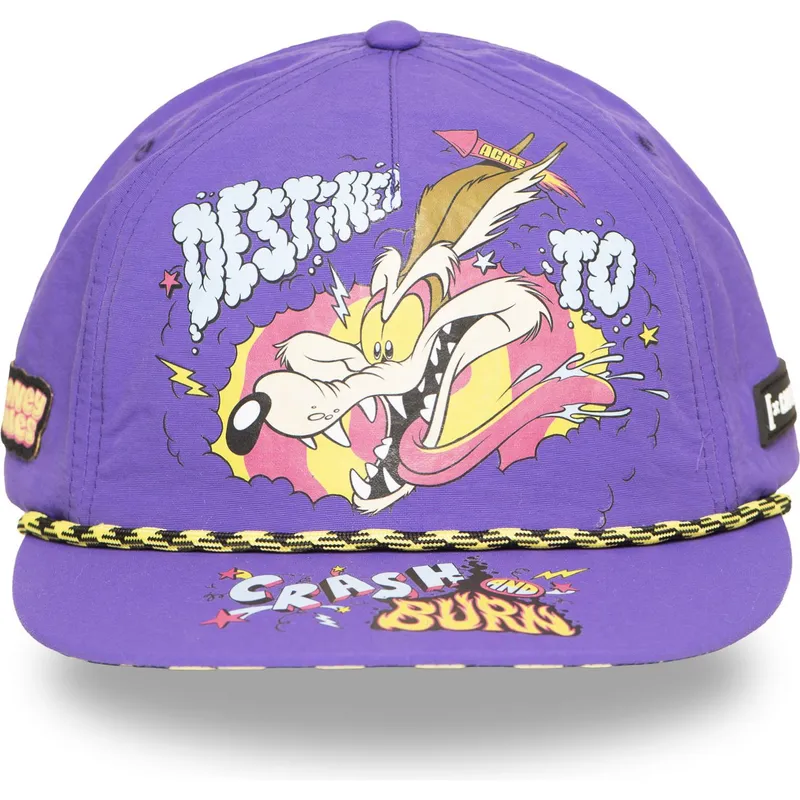 platt-violett-snapback-keps-coyote-loo13-dtcb-looney-tunes-fran-capslab