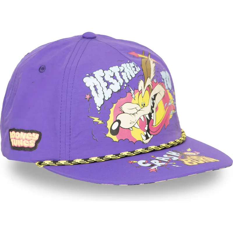 cap-lapos-violetka-snapbek-kojot-looney-tunes-capslab