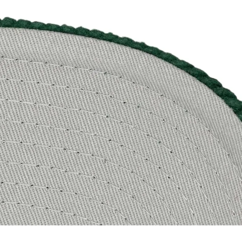 grune-gebogene-snapback-cap-arch-stamp-pro-von-anaheim-ducks-nhl-von-mitchell-ness