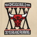 sapkak-lapos-fekete-snapback-across-the-board-chicago-bulls-nba-mitchell-ness