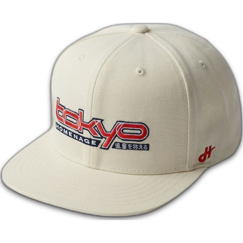 sapkak-lapos-kremszinu-snapback-tkysky-skylines-the-snap-homenage
