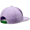 cap-lapos-violetka-snapbek-djinns