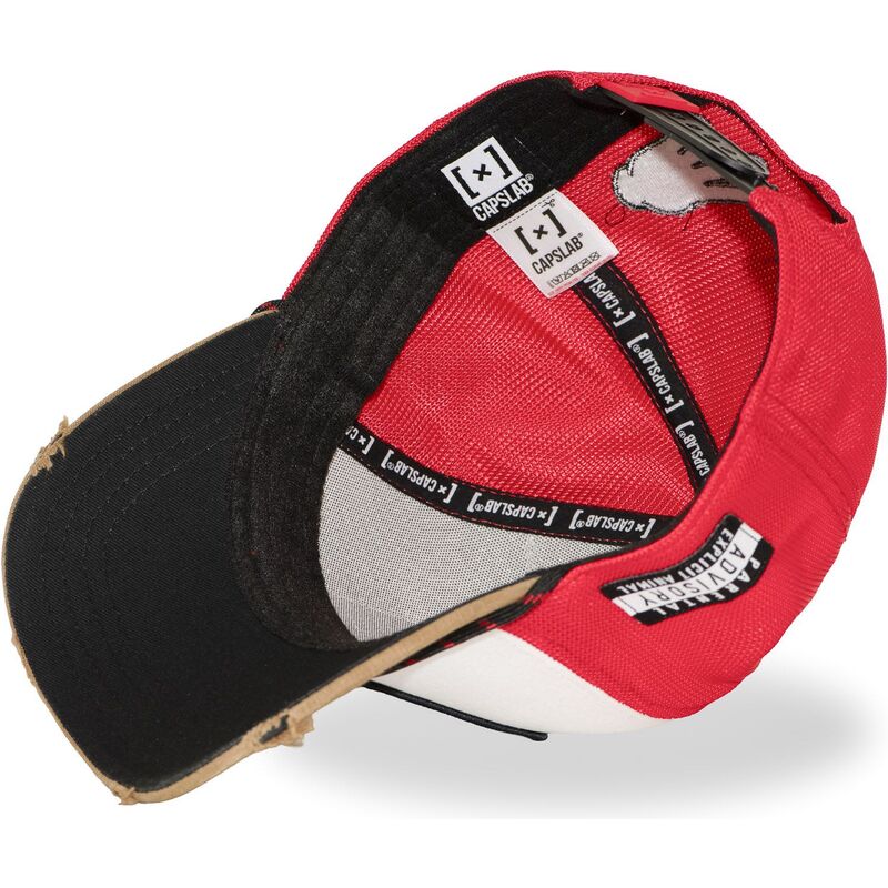 mehrfarbige-trucker-kappe-big-boy-hip-bigb-hip-hop-dogz-von-capslab