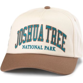 Sapkák ívelt barna snapback Roscoe Joshua Tree National Park American Needle