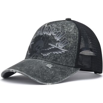 Sapkák ívelt szürke snapback Flaming Gothic Skull Washed Ed Hardy
