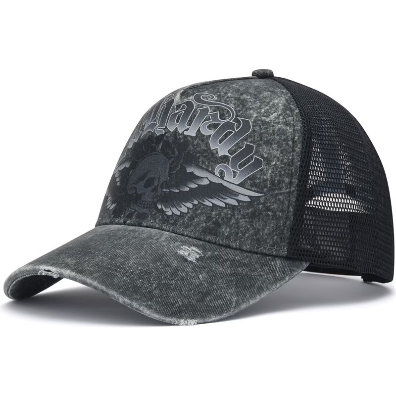 sapkak-ivelt-szurke-snapback-flaming-gothic-skull-washed-ed-hardy