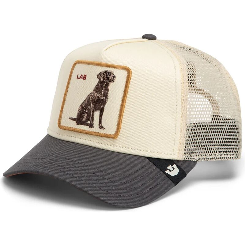 sapkak-ivelt-kremszinu-snapback-shadow-lab-off-the-leash-the-farm-goorin-bros