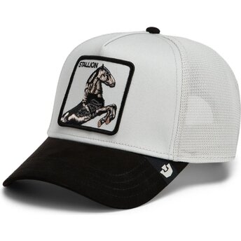 Sapkák ívelt szürke snapback Suede Stallion Microsuede The Farm Goorin Bros.