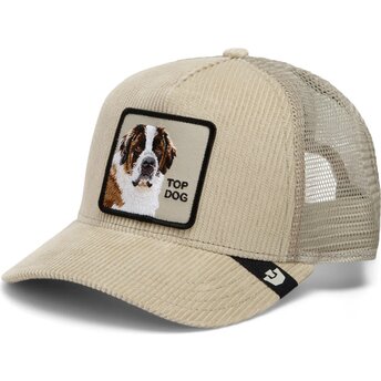Sapkák ívelt bézs snapback Corduroy Top Dog Ridgeline The Farm Goorin Bros.