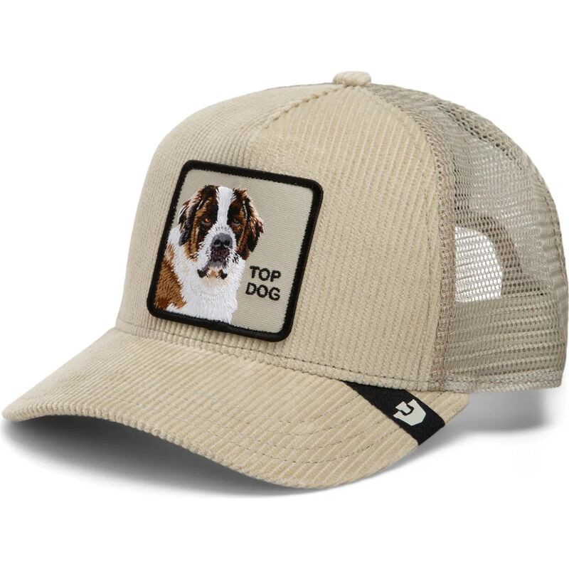 sapkak-ivelt-bezs-snapback-corduroy-top-dog-ridgeline-the-farm-goorin-bros