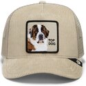 sapkak-ivelt-bezs-snapback-corduroy-top-dog-ridgeline-the-farm-goorin-bros