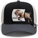 sapkak-ivelt-tobbszinu-snapback-banger-migration-the-farm-goorin-bros