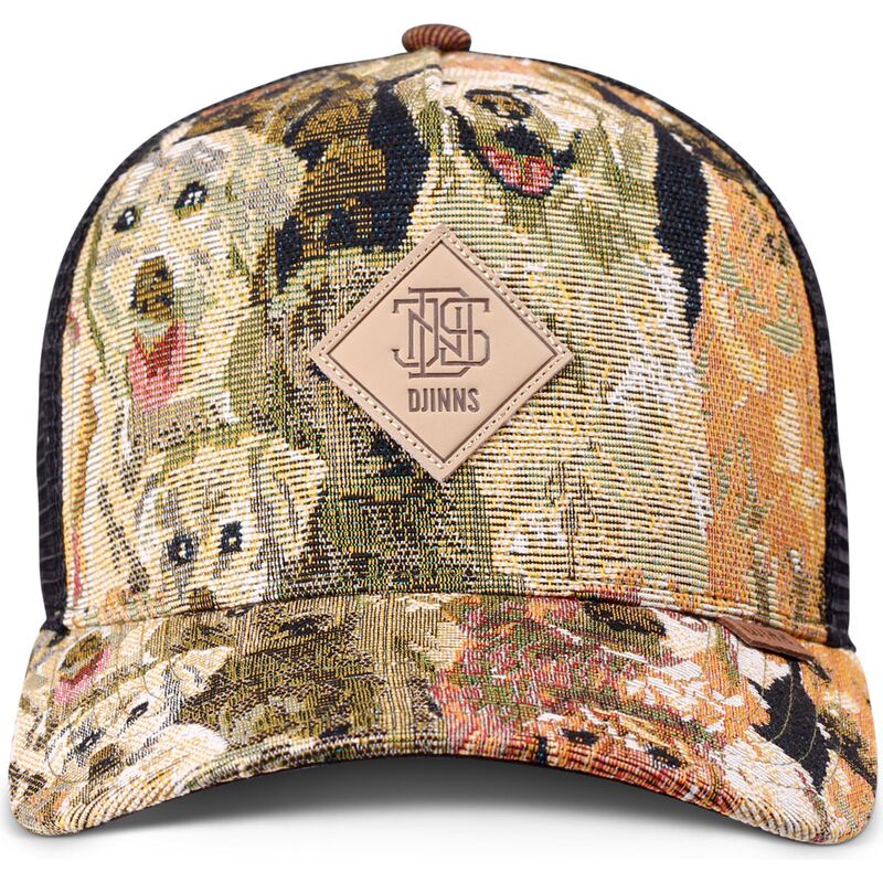 sapkak-ivelt-tobbszinu-snapback-hft-crasy-sofa-dogs-djinns